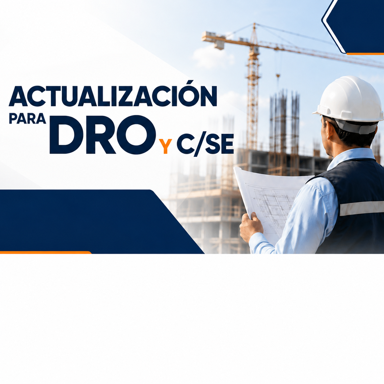 Curso de Actualización de DRO Y C/SE